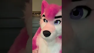 POV: You found a fursuiter's lost paw!