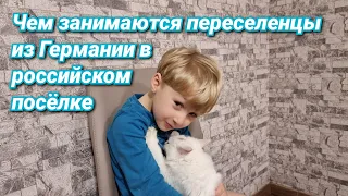 Очистительные работы по дому заканчиваются/Съездили к ветврачу/Уход за домашними животными