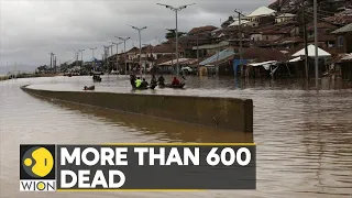 WION Climate Tracker: Misery of Nigerians displaced by floods; More than 600 dead | WION