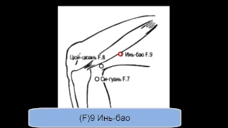 F9 Инь-бао