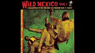 Various – Wild Mexico Vol 1 : 60’s Raw & Rare Garage Rock & Roll Psychedelic Freakbeat Music Album