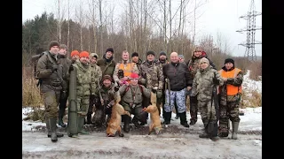 Загонная охота на лису. Домодедово.16.12.17