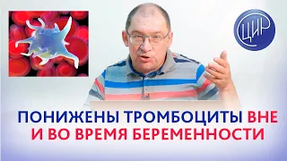 Понижены тромбоциты. Как тромбоцитопения влияет на беременность и что делать? Гузов И.И.