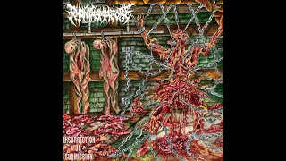 Phantasmagore - Insurrection or Submission (Full Album)