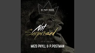 Not Surprised (feat. Mizo Phyll & P . Postman)