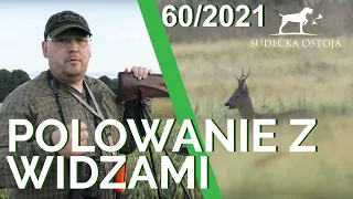 SUDECKA OSTOJA 60/2021. Hunting with fans of the channel. Hunting wild boars in Poland.
