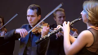 A. Vivaldi - Concero G-moll for Oboe, Violin and strings RV 576