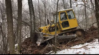 Bulldozer in Forest