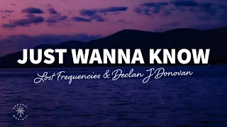 Lost Frequencies & Declan J Donovan - Just Wanna Know (Lyrics)