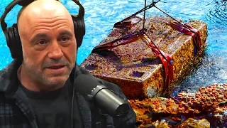 Joe Rogan Vient De Révéler Une Nouvelle Découverte Sur L'île D'Oak Island