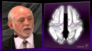 Neuro Anatomy of the Disorder Pt 2 2009