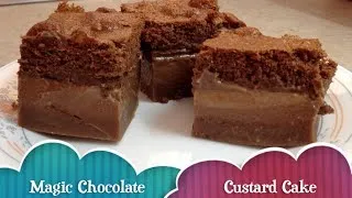 Magic Chocolate Custard Cake cheekyricho