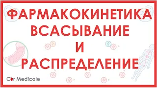 Фармакокинетика: всасывание, распределение, биодоступность лекарственных препаратов