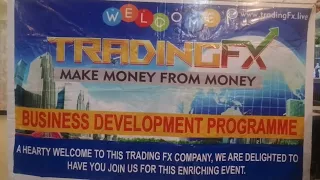 Tradingfx Business Development Programme