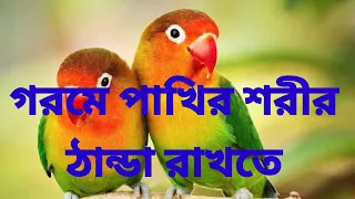 গরমে পাখির শরীর ঠান্ডা রাখতে//Garome Pakhir Sorer Thanda Rakte//বার্ড লাভার সঞ্জয়//Bird Lover//