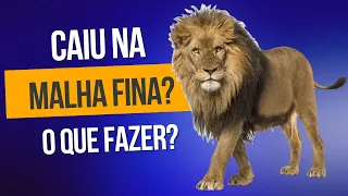 Caiu na malha fina? O que fazer? | Tributário na Prática - Aprenda com o Auditor.