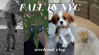 NYC VLOG: central park in the fall 🍂 new knitwear, autumn florals, and more!