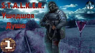 S.T.A.L.K.E.R. Ушедшая Душа►1☢ Наёмник Сектор