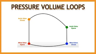 Pressure Volume Loops