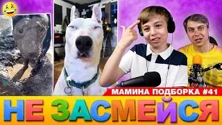 СМЕШНОЕ ВИДЕО для ХОРОШЕГО НАСТРОЕНИЯ! Мамина подборка #41