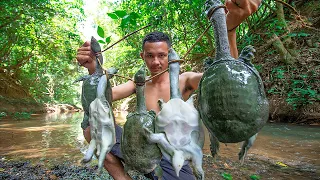 Unbelievable! Research & catch n 5 Softshell Turtle​ underwater then Cooking Turtle​ Soup in forest