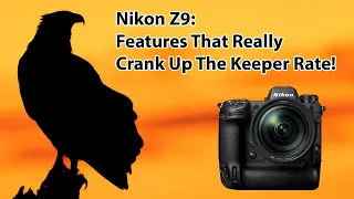 Nikon Z9: Features That Really Crank Up The Keeper Rate!