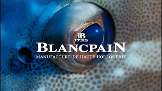 Laurent Ballesta, Wildlife Photographer of the Year - Blancpain Ocean Commitment