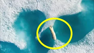 This photo shocked the entire internet! Look what the drone discovered!