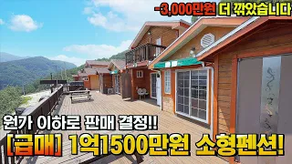 [급처분!] 1억1500만원 강원도 펜션주택에서 귀촌생활비 벌면서 건강한 전원생활도 함께 할 수 있는 집!