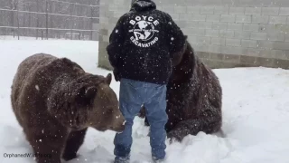 Jimbo and Leo playing with Jim in the snow.