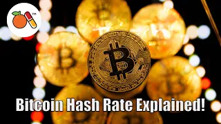 Max Keiser EXPLAINS Bitcoin Volatility & Hashrate!