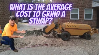 What is the Average Cost to Grind a Stump