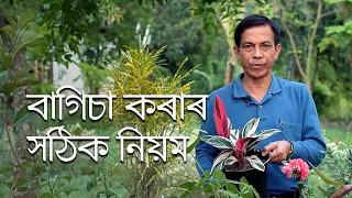 বাগিচা কৰাৰ সঠিক নিয়ম | How to Start a new Garden | Parijat Nursery Jorhat