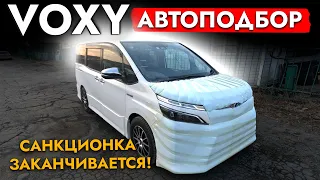 АвтоПодбор МИНИВЭНА | TOYOTA VOXY | NOAH | ESQUIRE | ЦЕНЫ НА РЫНКЕ В 2024