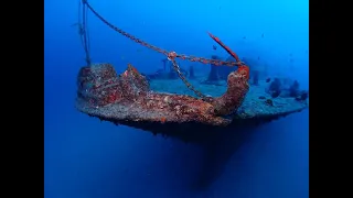 Sea Tiger Scuba Dive - Oahu, Hawaii