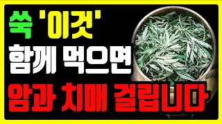 쑥과 함께 먹으면 위험! 암과 치매의 위험 증가시키는 최악의 궁합 5가지 | 만성염증과 독소 배출에 탁월한 최고의 레시피