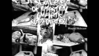 Disgorgement Of Intestinal Lymphatic Suppuration - Freezing Moon (The True Mayhem cover)