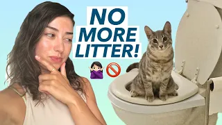 I tried to toilet train my cat and this happened (CitiKitty Detailed Review)