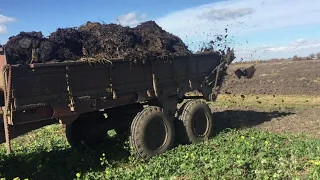 Вивозимо органіку! MTZ-1025+Роу-6