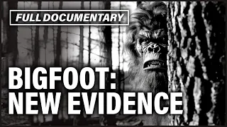 Don't Call Me Bigfoot I Absolute Mysteries