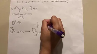 Group 23: 1,2 addition and 1,4 addition of Cl2 to a diene (not symmetric)