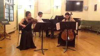 Brahms piano trio NO.3 - 1st movement