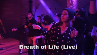 Breath of Life (Live) - Sina Bathaie