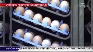 Janaslavo kaime, Lazdijų rajone pradėtas statyti viščiukų inkubatorius