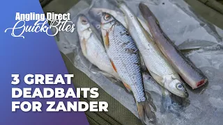 3 Great Deadbaits For Zander - Predator Fishing Quickbite