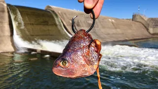 An EPIC Battle with a Spillway Monster!!!