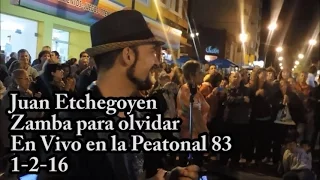 Juan Etchegoyen - Zamba para olvidar (1-2-16) Peatonal 83 de Necochea