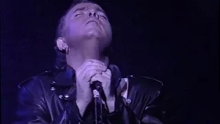 Lavilliers - Concert complet - Zénith mars 1989