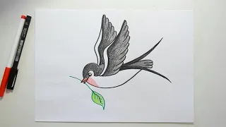 HOW TO DRAW A SWALLOW / BIRD DRAWING FOR KIDS