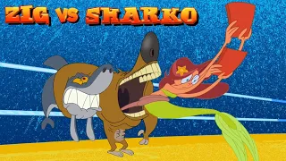 Zig & Sharko 💥🥊 ENTER THE RING (S01E67) New Episodes in HD